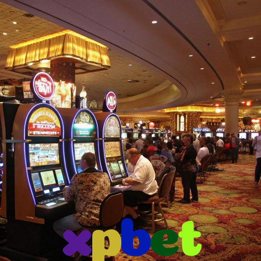  xpbet