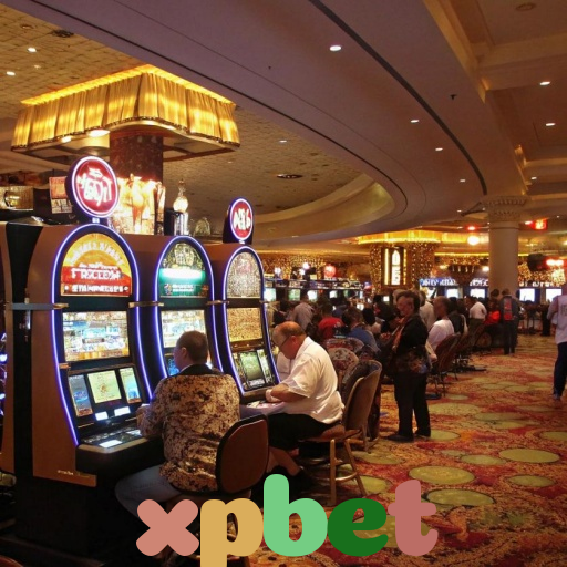  xpbet