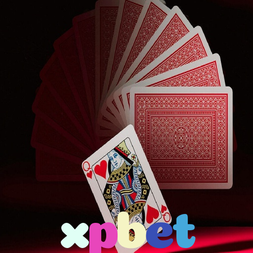  xpbet