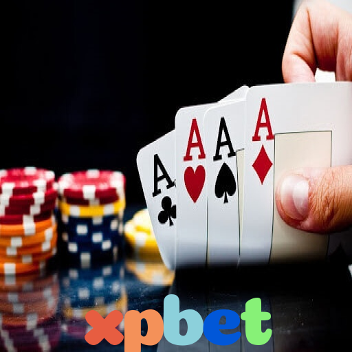 xpbet