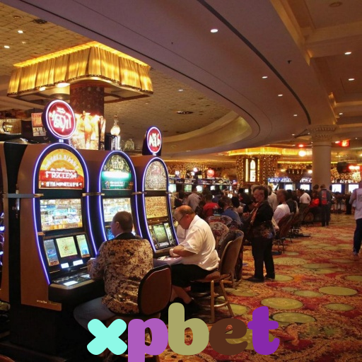  xpbet