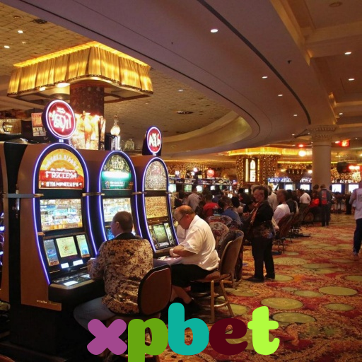  xpbet