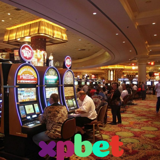  xpbet