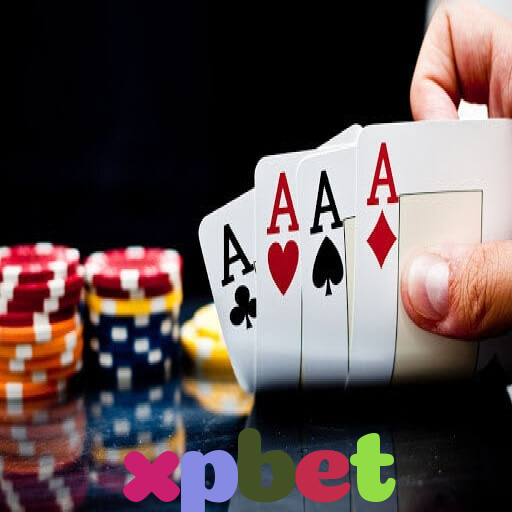  xpbet