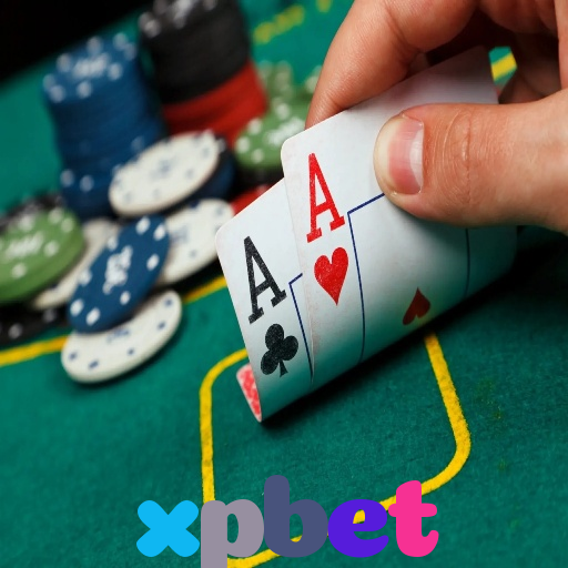  xpbet
