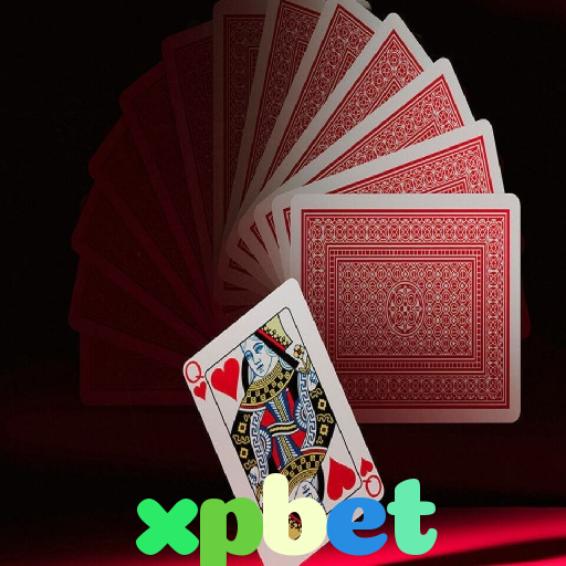  xpbet