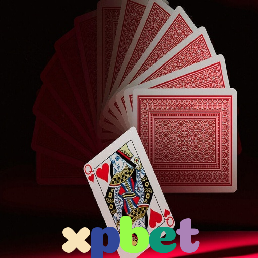  xpbet