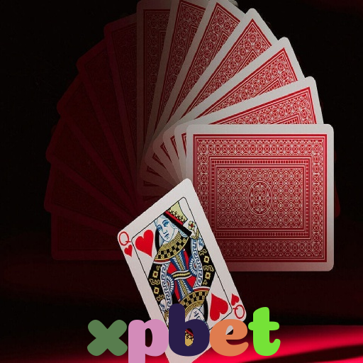  xpbet