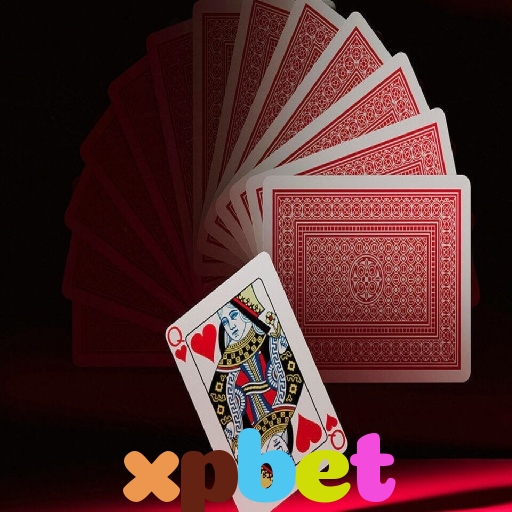  xpbet