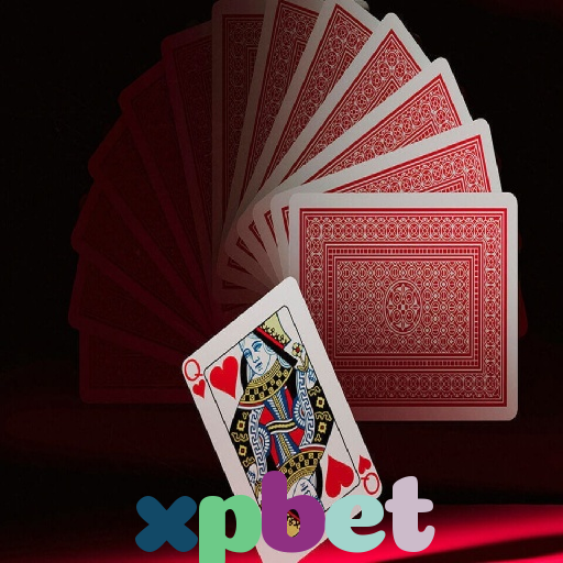  xpbet