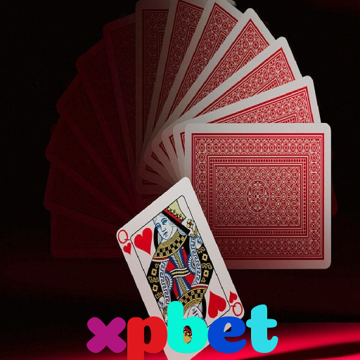  xpbet