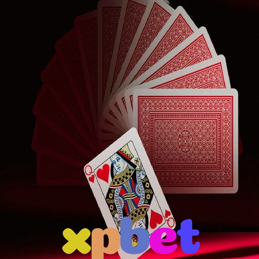  xpbet