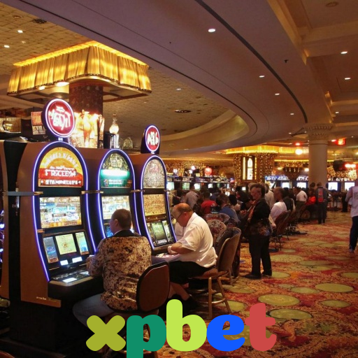  xpbet