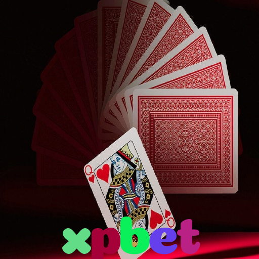  xpbet