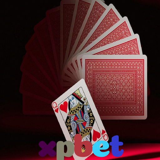  xpbet