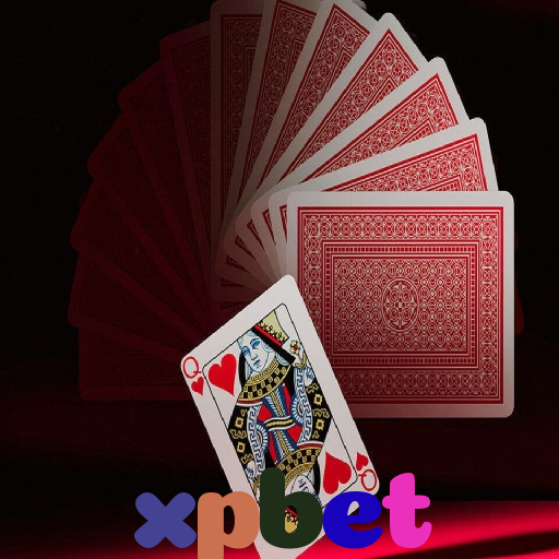  xpbet