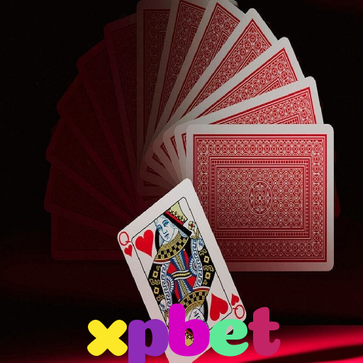  xpbet