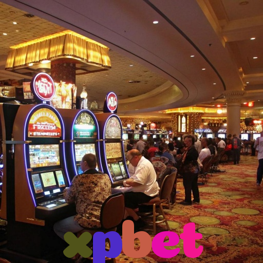  xpbet
