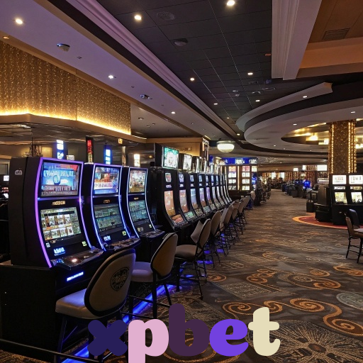 xpbet