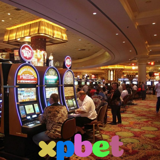  xpbet
