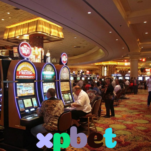  xpbet