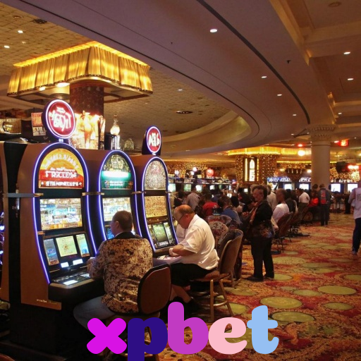  xpbet