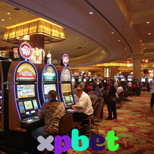  xpbet