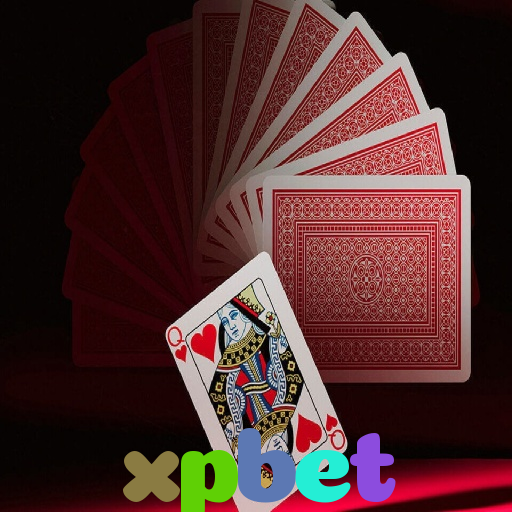  xpbet