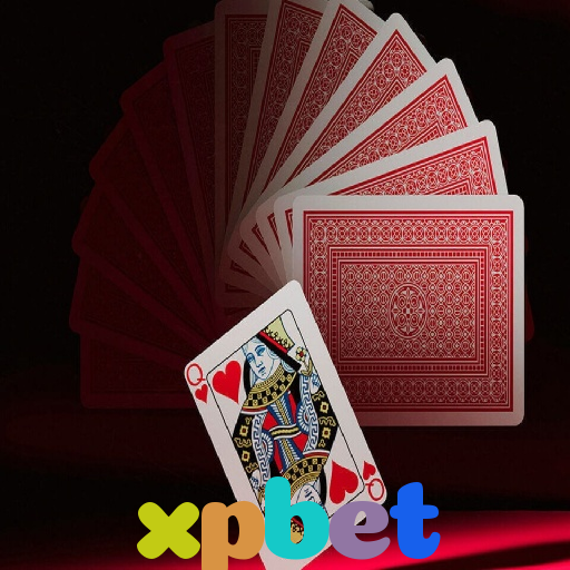  xpbet