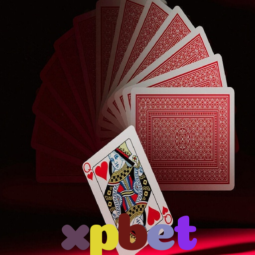  xpbet