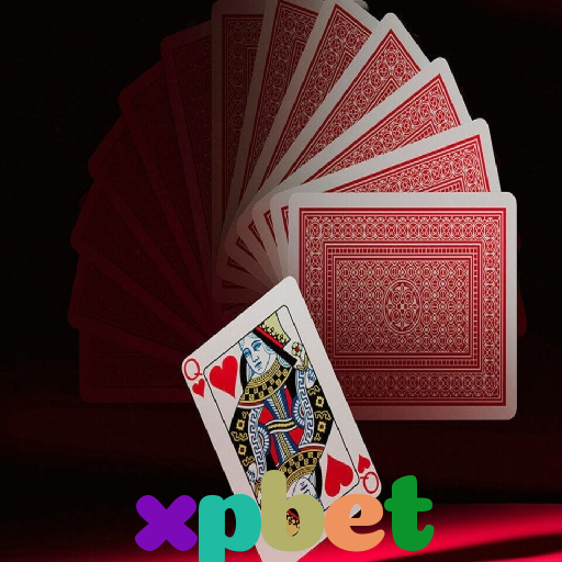  xpbet