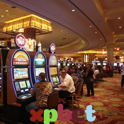  xpbet