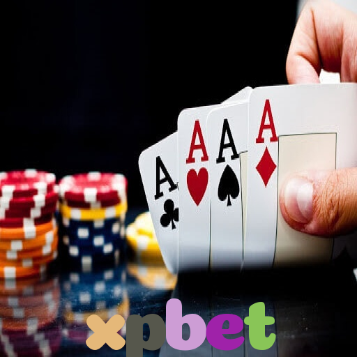  xpbet