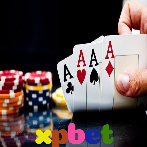  xpbet