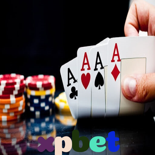  xpbet
