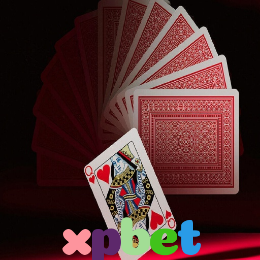  xpbet