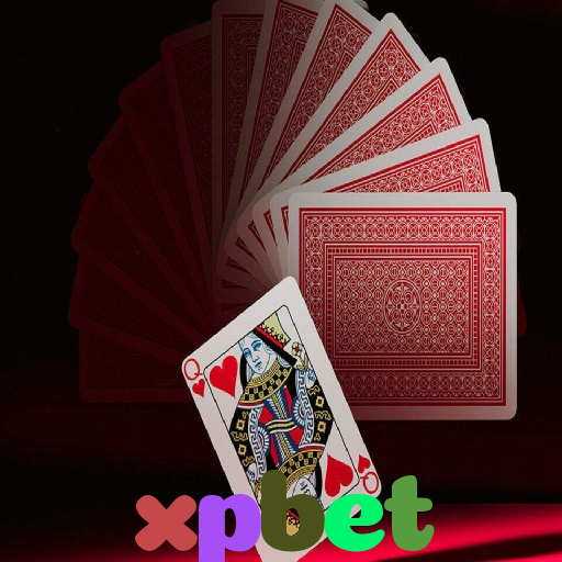  xpbet