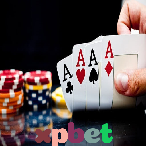  xpbet