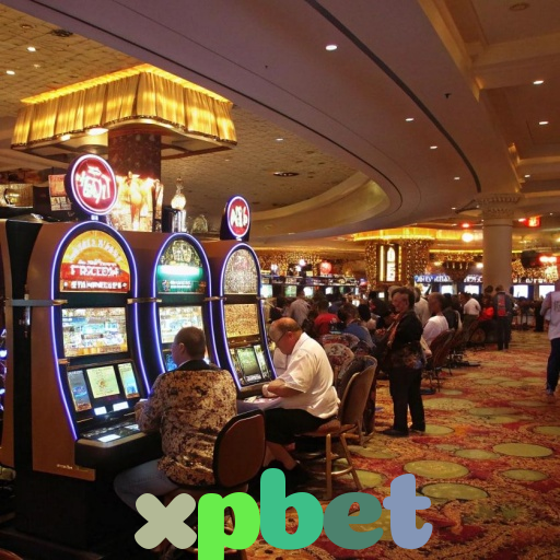  xpbet