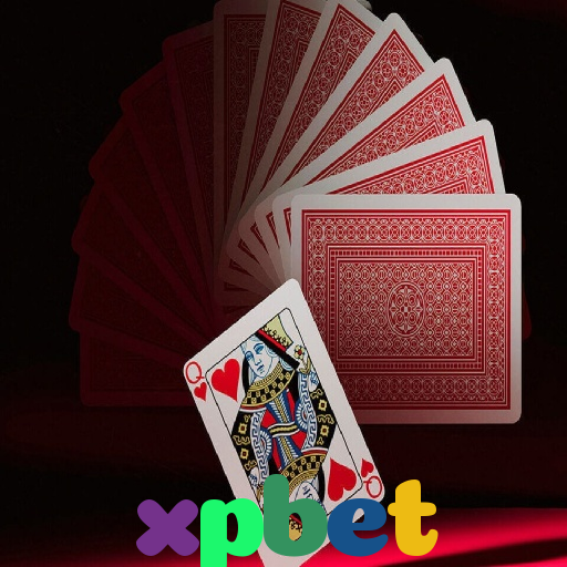  xpbet