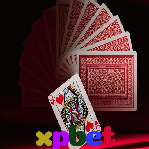  xpbet