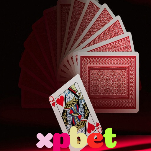  xpbet