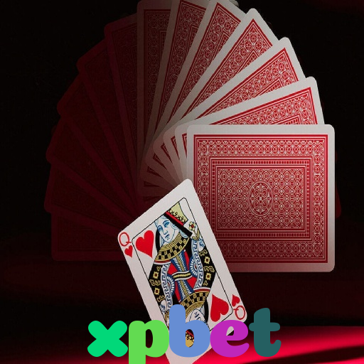  xpbet