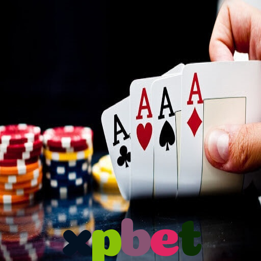  xpbet