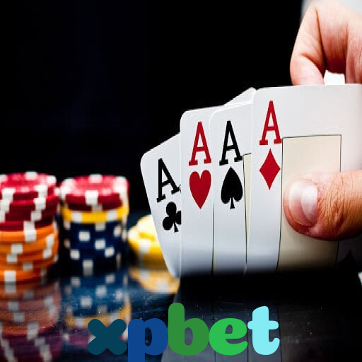  xpbet