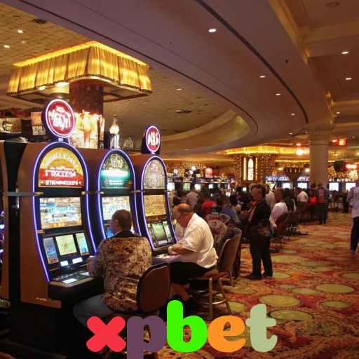  xpbet