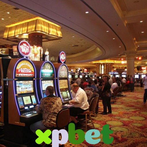  xpbet