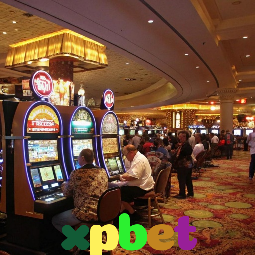  xpbet