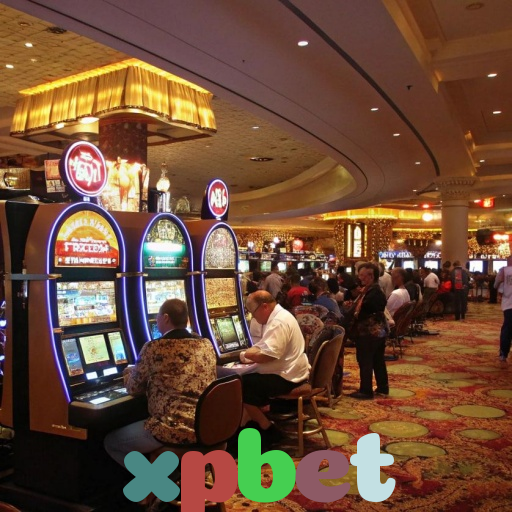  xpbet