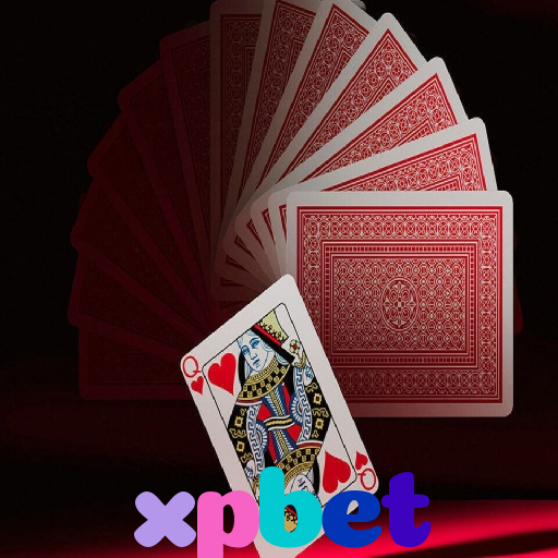  xpbet